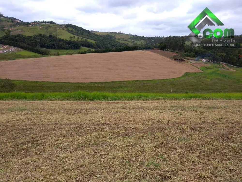 Terreno, 2 hectares - Foto 2