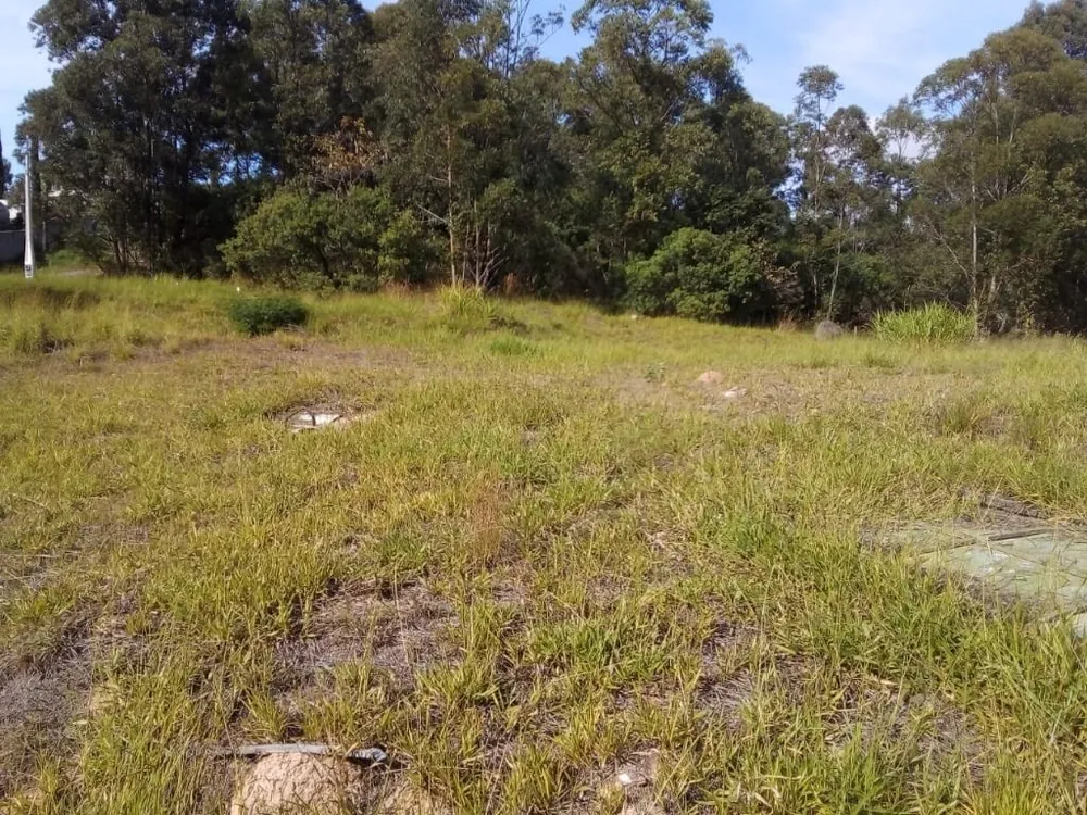 Terreno, 2870 m² - Foto 11