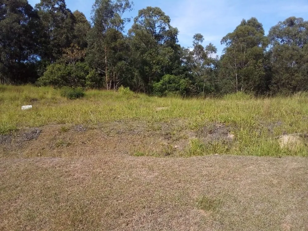Terreno, 2870 m² - Foto 9