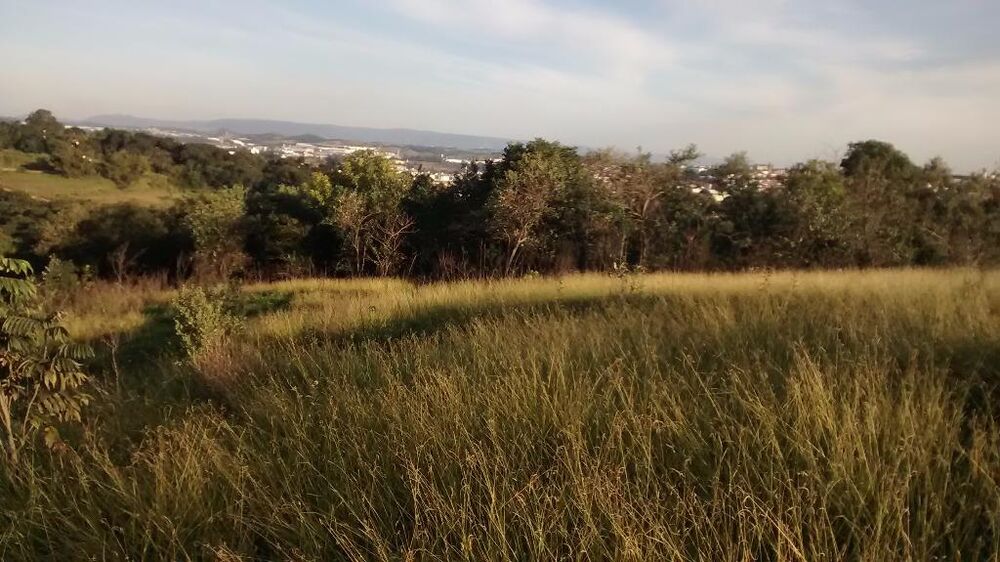 Terreno, 9700 m² - Foto 6