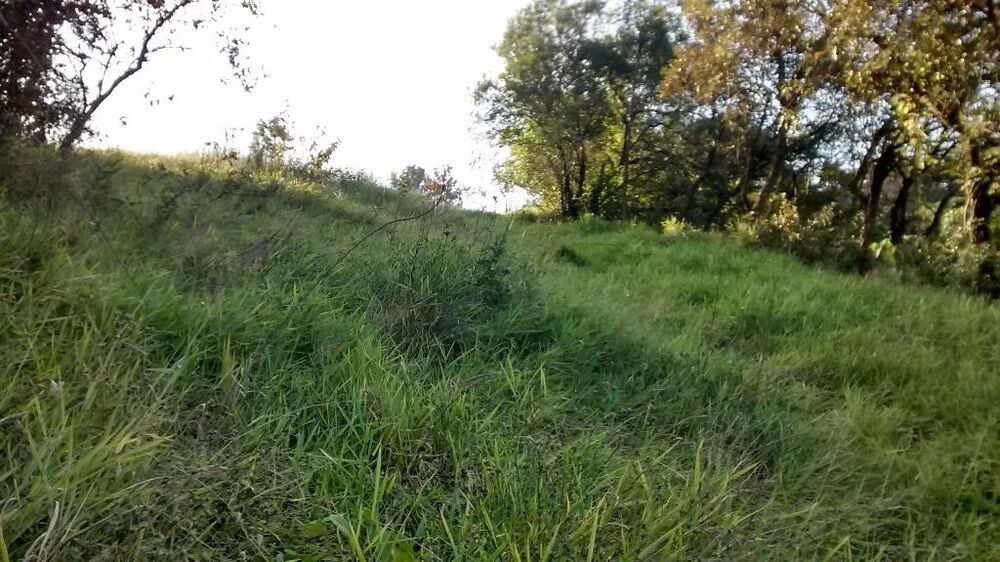 Terreno, 9700 m² - Foto 2