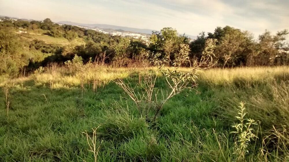 Terreno, 9700 m² - Foto 8