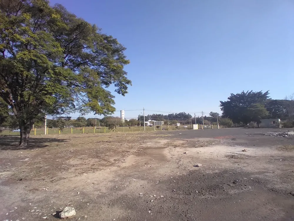 Terreno, 3 hectares - Foto 7