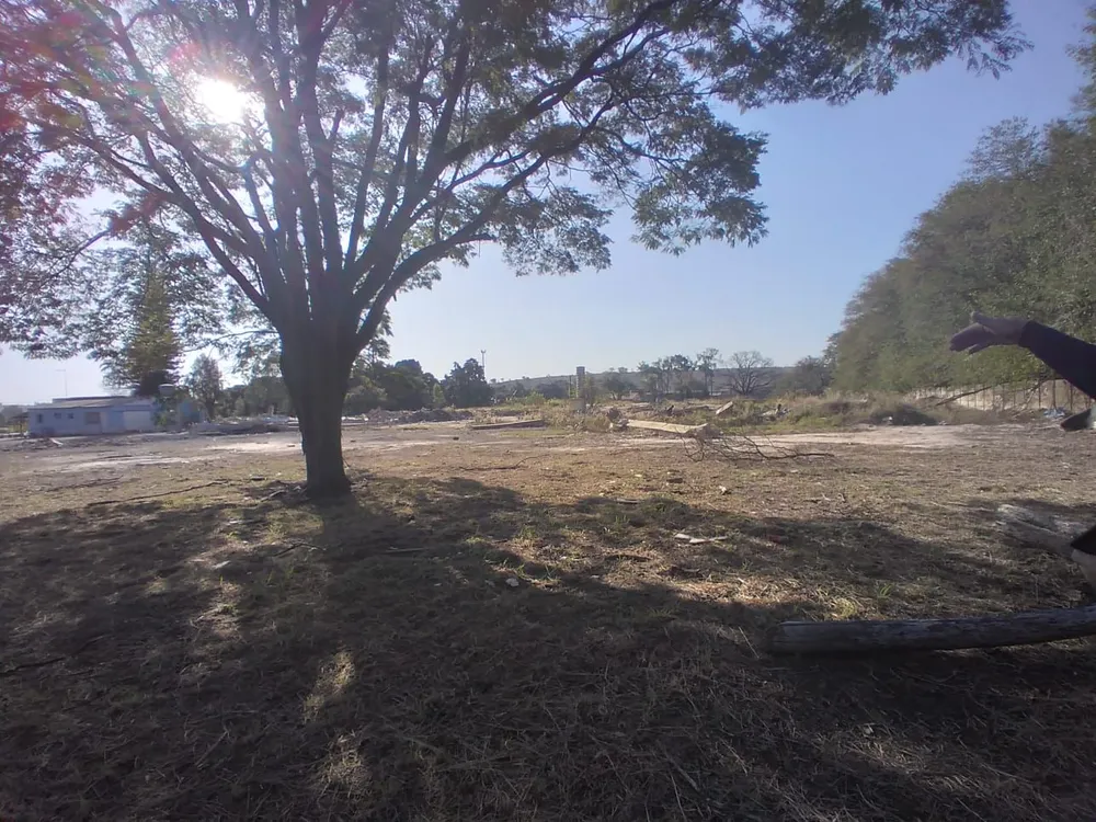 Terreno, 3 hectares - Foto 6