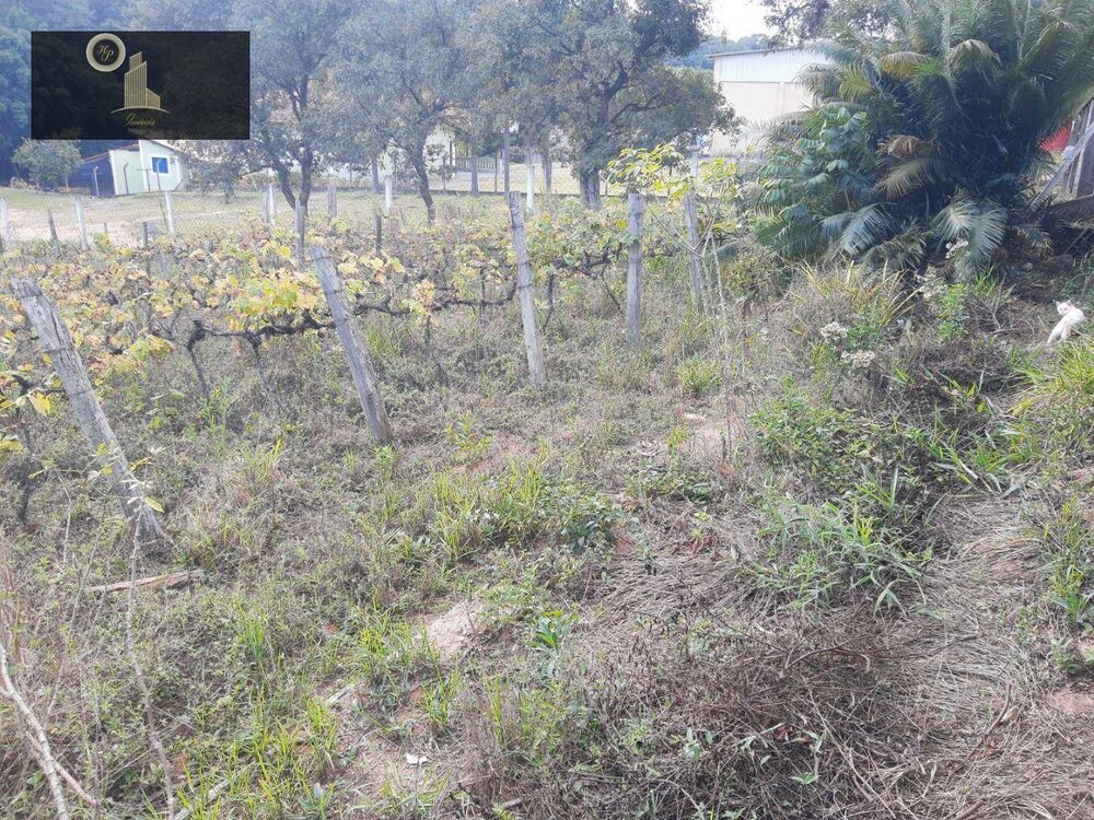 Terreno, 1632 m² - Foto 5