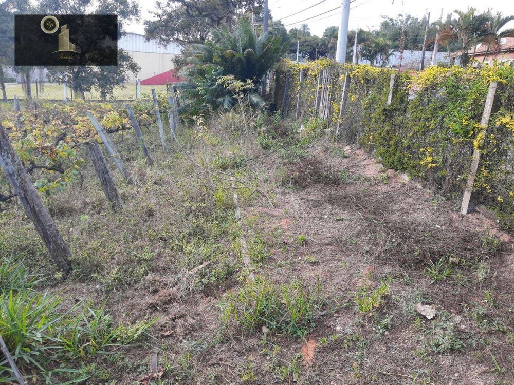 Terreno, 1632 m² - Foto 3