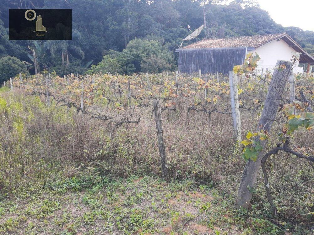 Terreno, 1632 m² - Foto 1