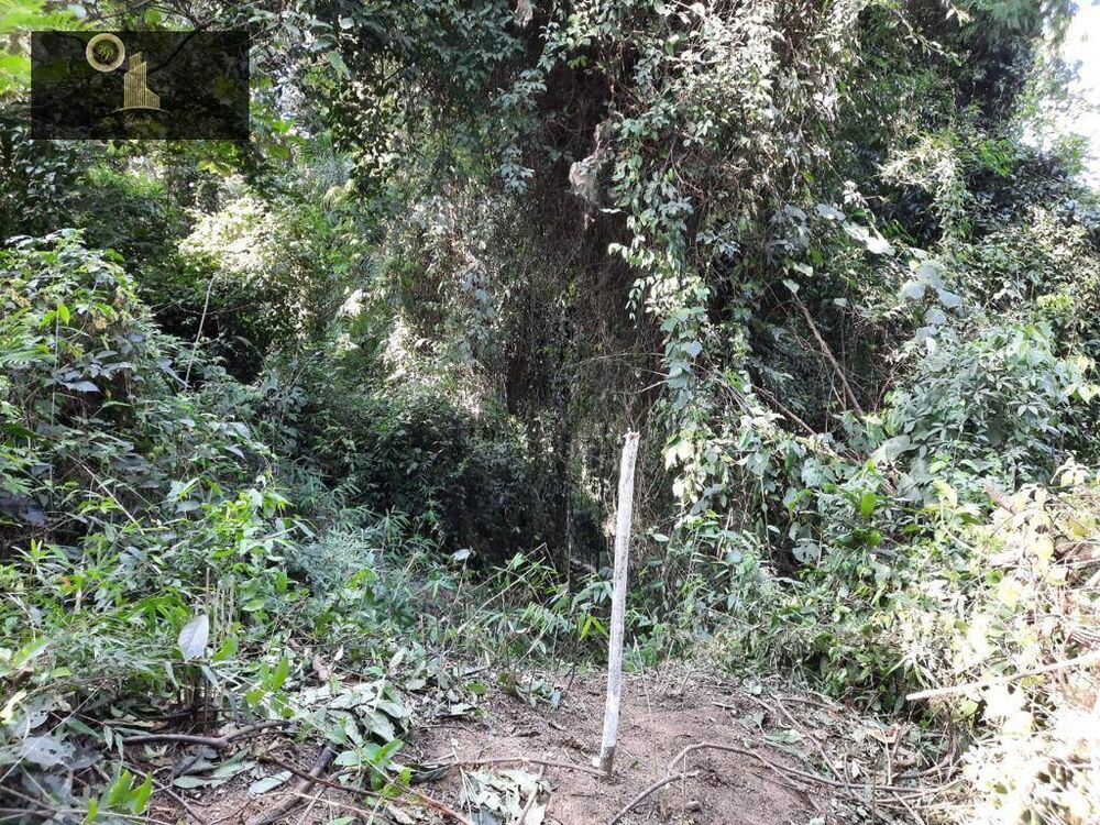 Terreno, 6800 m² - Foto 8