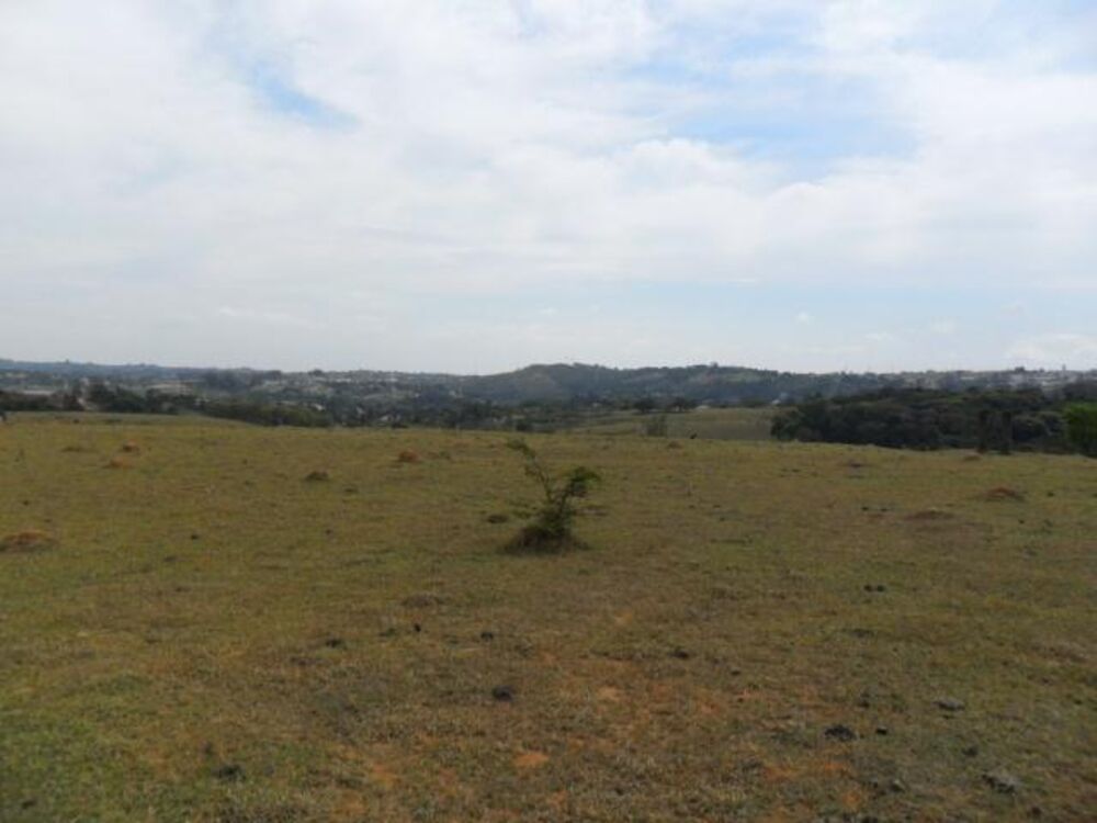 Terreno, 7 hectares - Foto 7