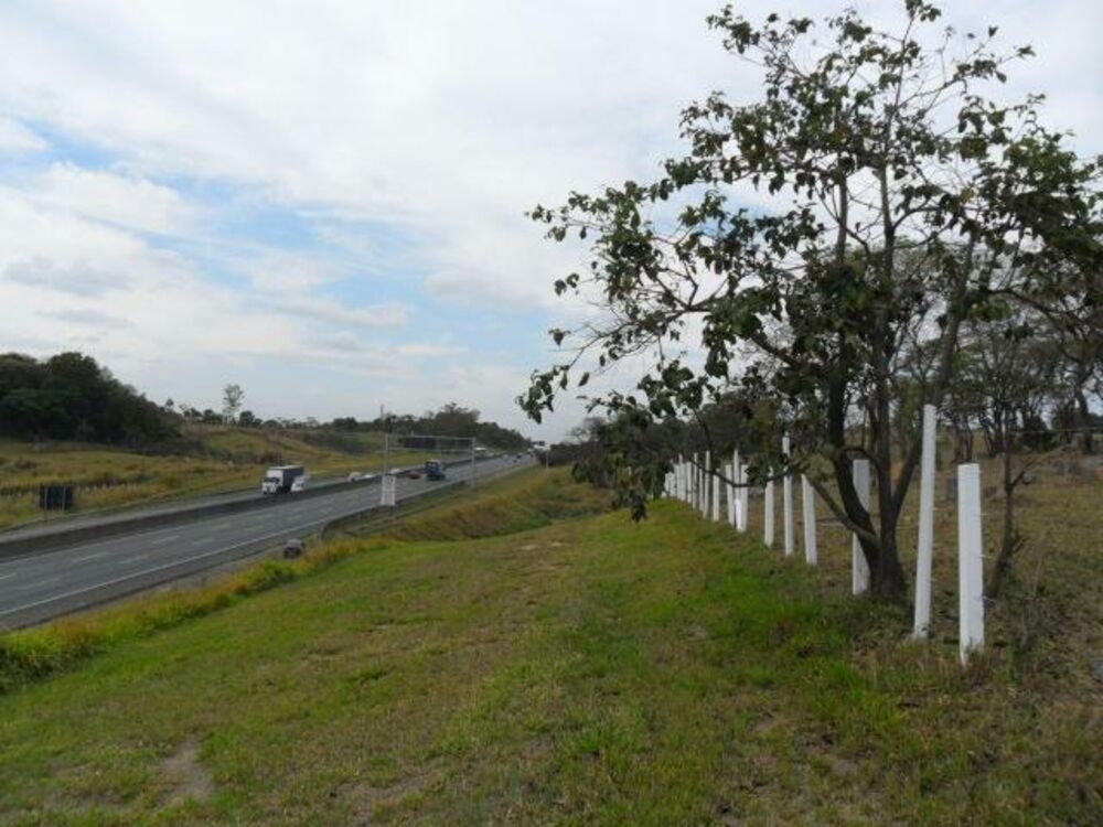 Terreno, 7 hectares - Foto 6