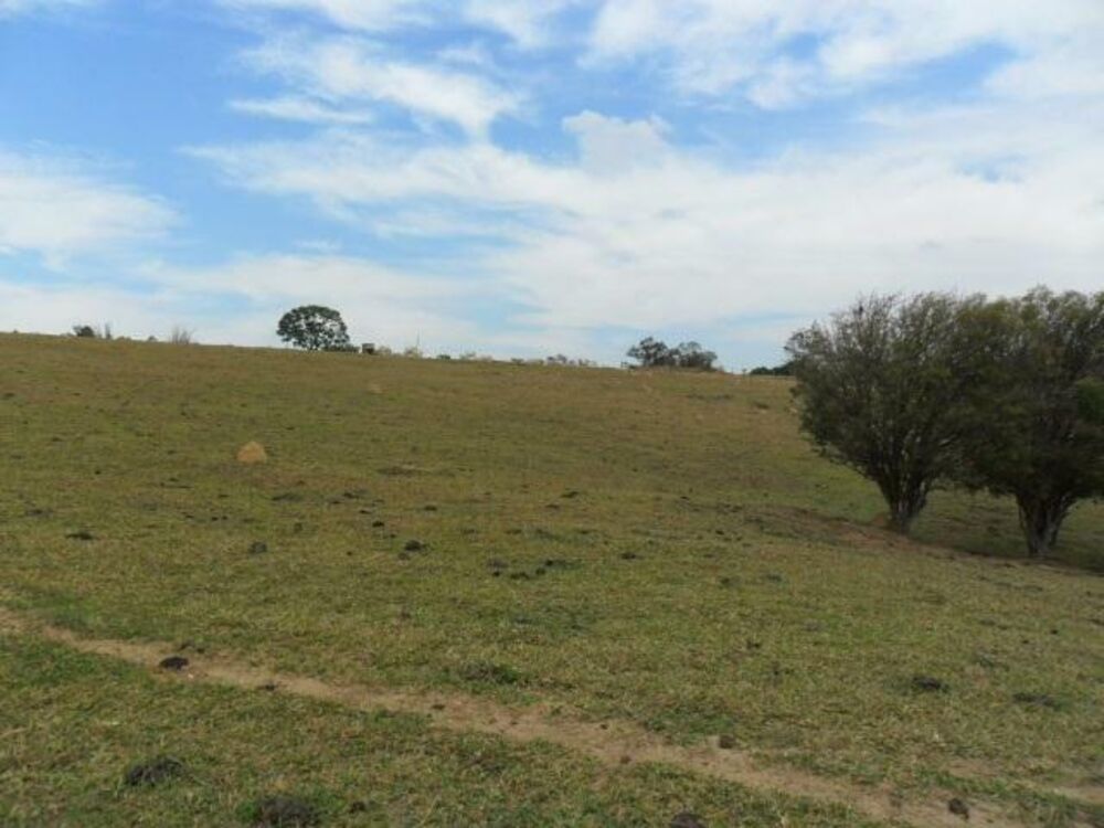 Terreno, 7 hectares - Foto 13