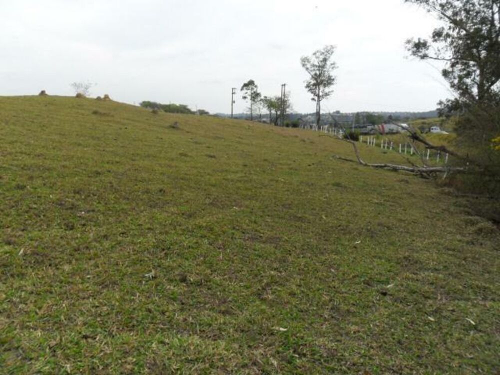 Terreno, 7 hectares - Foto 3