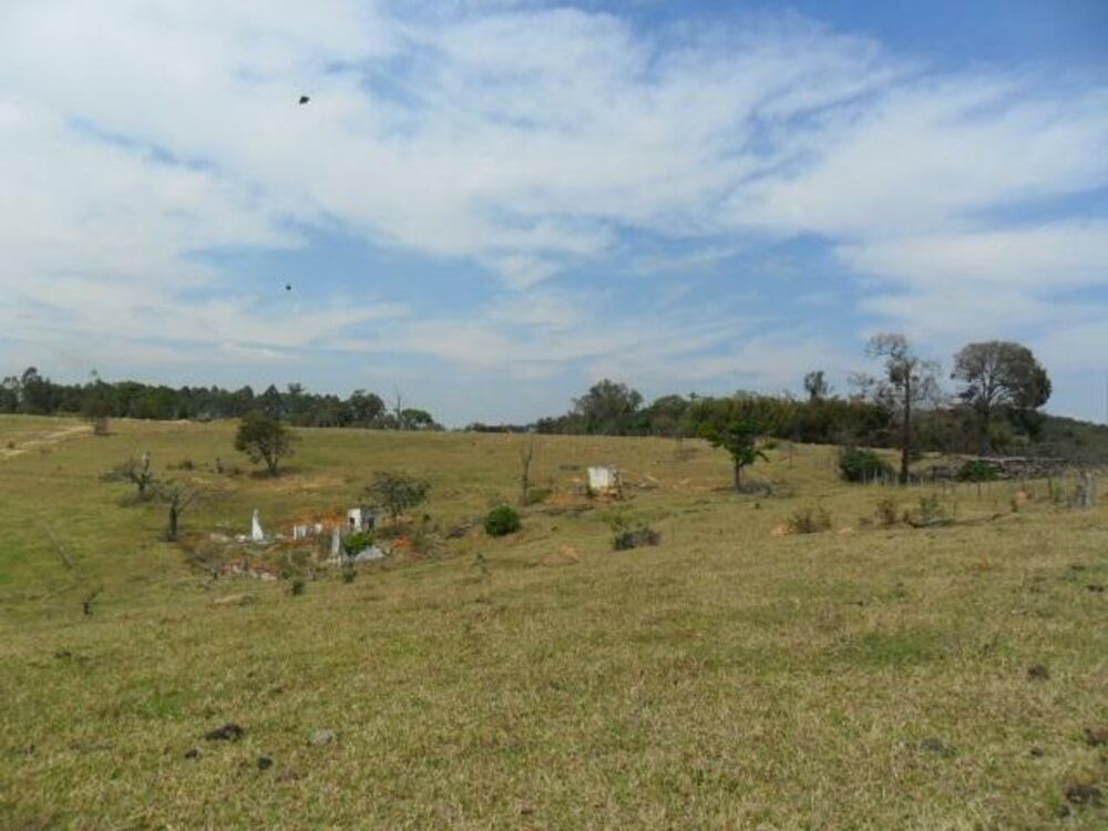 Terreno, 7 hectares - Foto 2
