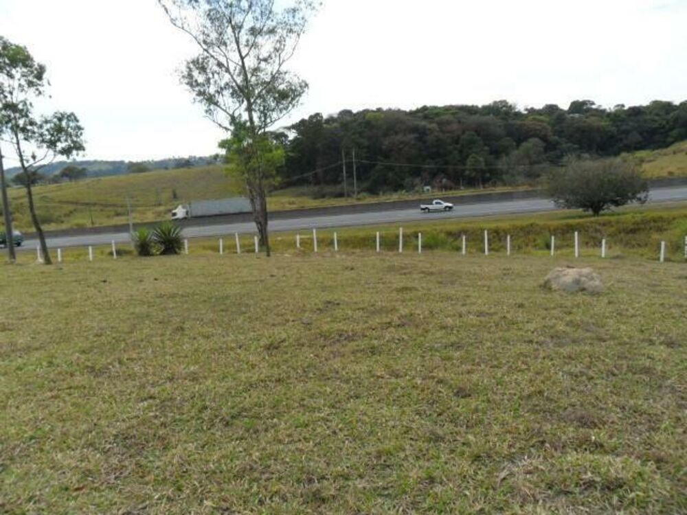 Terreno, 7 hectares - Foto 4