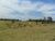 Terreno, 7 hectares - Foto 3