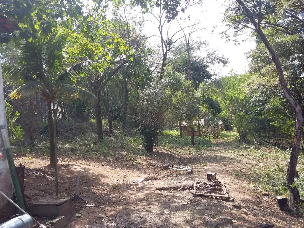 Terreno, 2 hectares - Foto 8