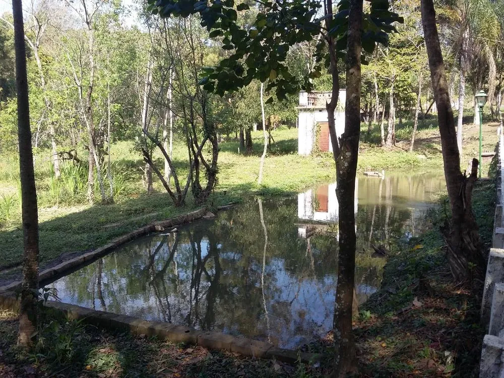 Terreno, 2 hectares - Foto 3