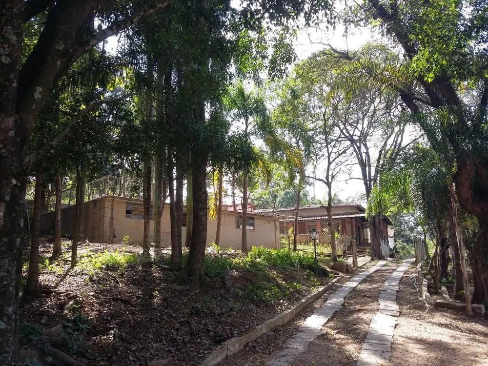 Terreno, 2 hectares - Foto 4