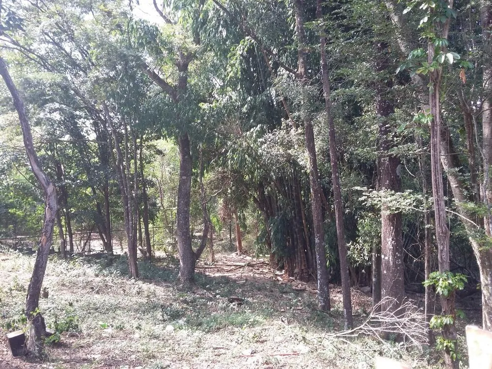 Terreno, 2 hectares - Foto 7