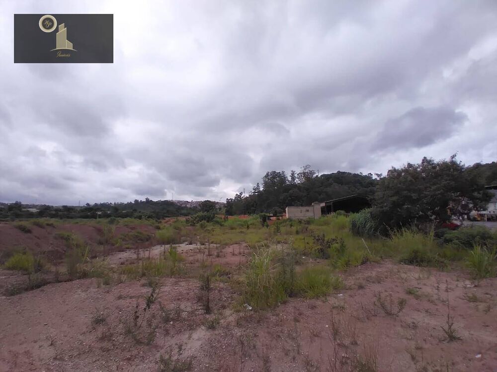 Terreno, 8 hectares - Foto 6