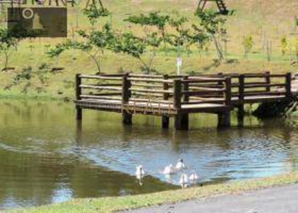 Loteamento e Condomínio, 800 m² - Foto 7