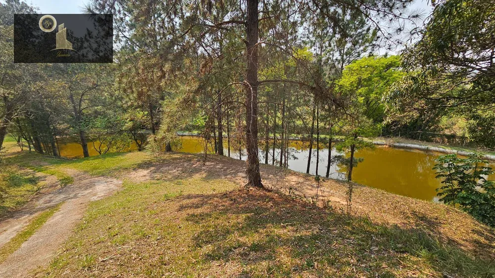 Terreno, 5 hectares - Foto 16