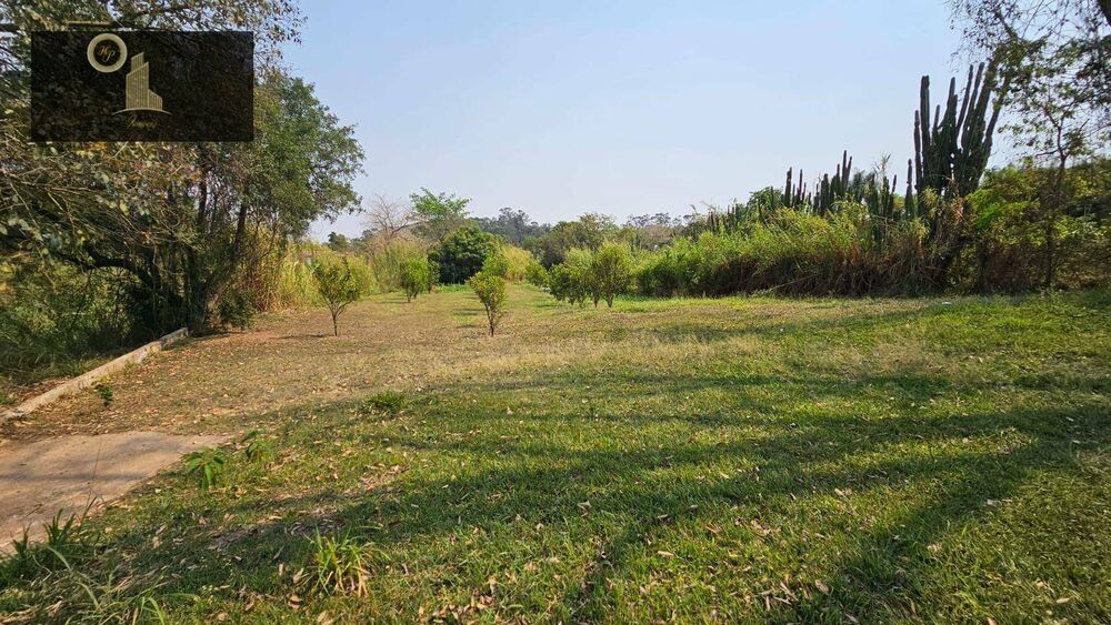 Terreno, 5 hectares - Foto 8