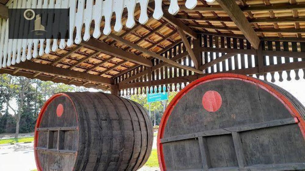 Terreno, 254 m² - Foto 10