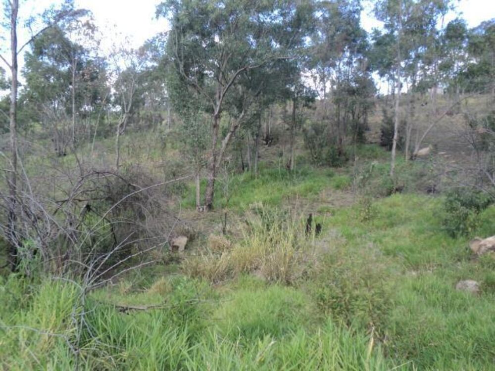 Terreno, 2 hectares - Foto 5