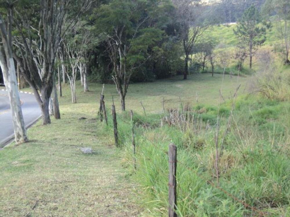 Terreno, 2 hectares - Foto 7