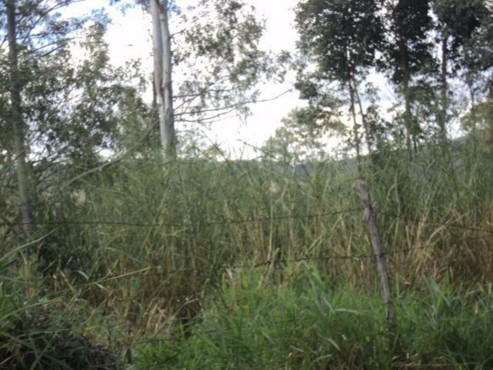 Terreno, 2 hectares - Foto 3