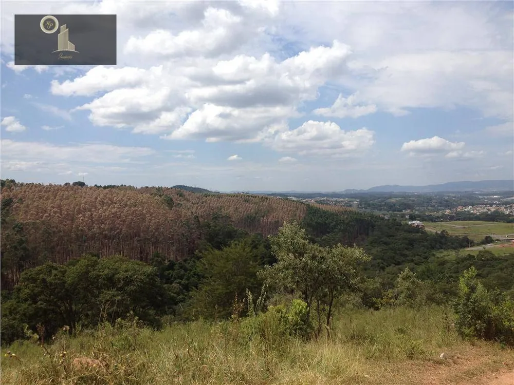 Terreno, 4 hectares - Foto 7