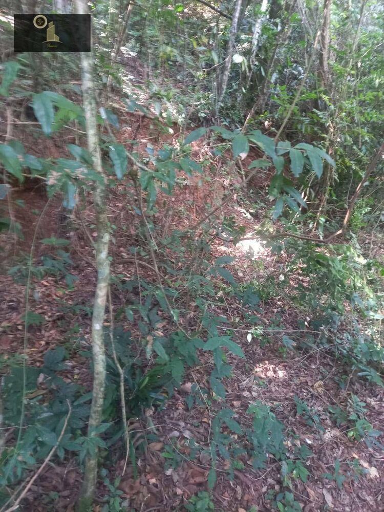 Terreno, 6500 m² - Foto 10