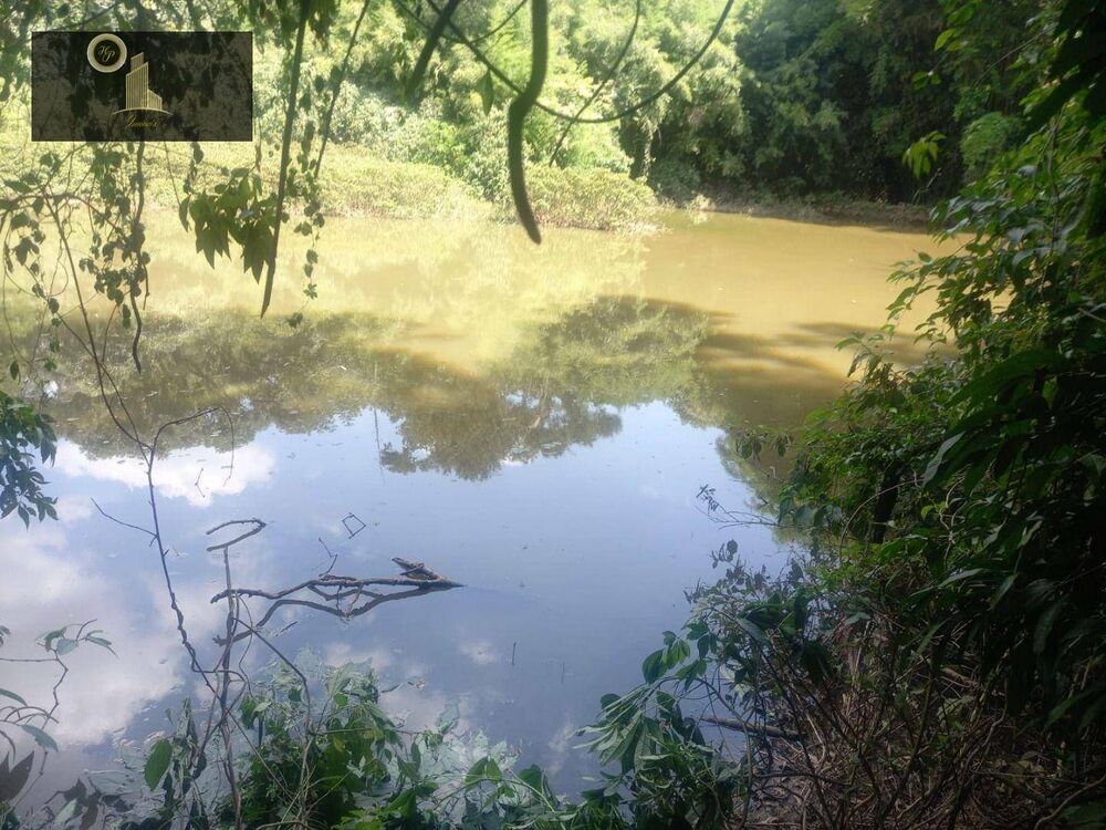 Terreno, 6500 m² - Foto 5