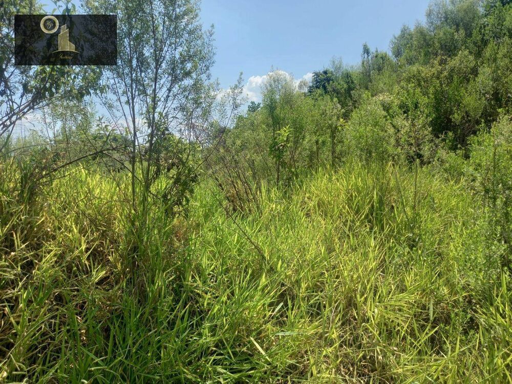 Terreno, 6500 m² - Foto 7