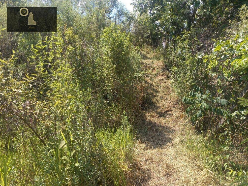 Terreno, 6500 m² - Foto 6