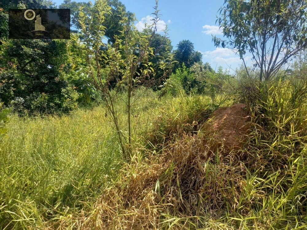 Terreno, 6500 m² - Foto 8