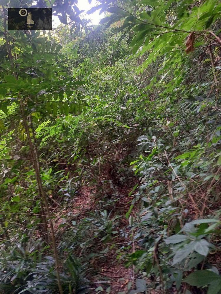 Terreno, 6500 m² - Foto 13