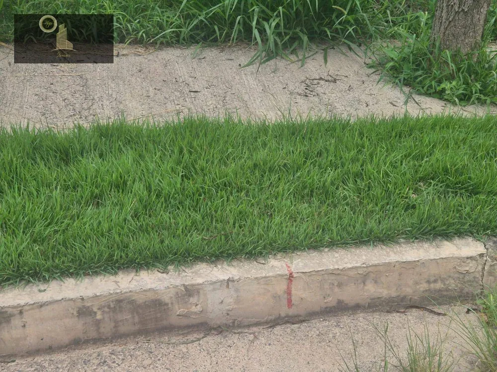 Terreno, 270 m² - Foto 13