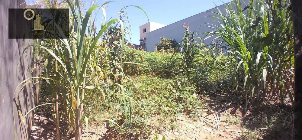 Terreno, 600 m² - Foto 3