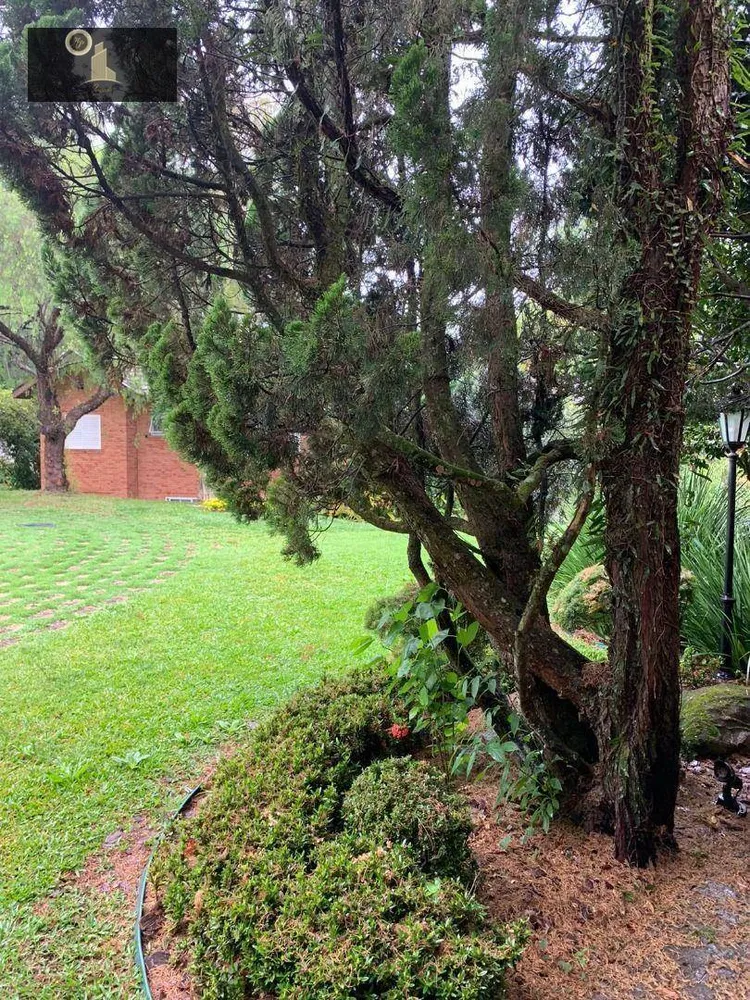 Casa de Condomínio, 8 quartos - Foto 5