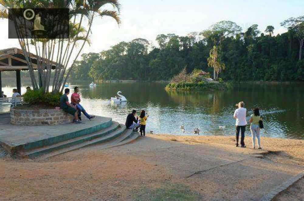 Terreno, 4200 m² - Foto 6