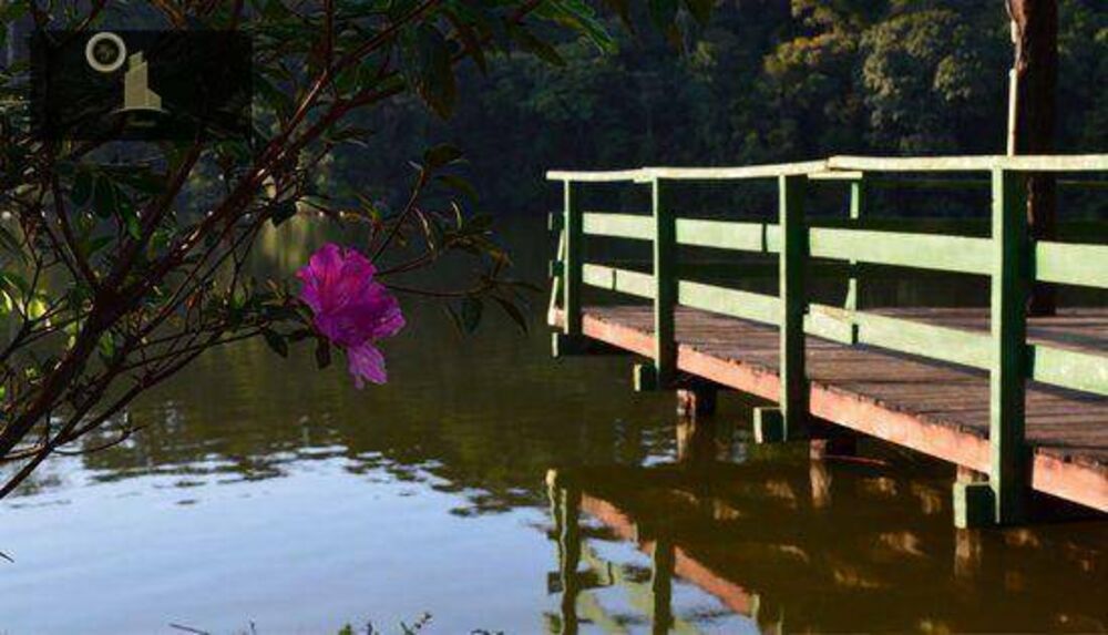 Terreno, 4200 m² - Foto 13