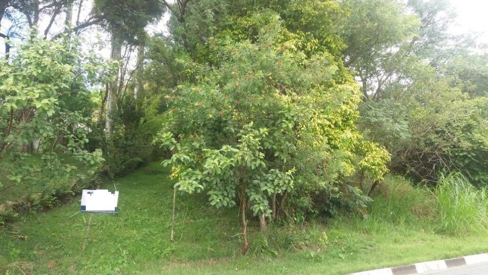 Terreno, 4200 m² - Foto 1