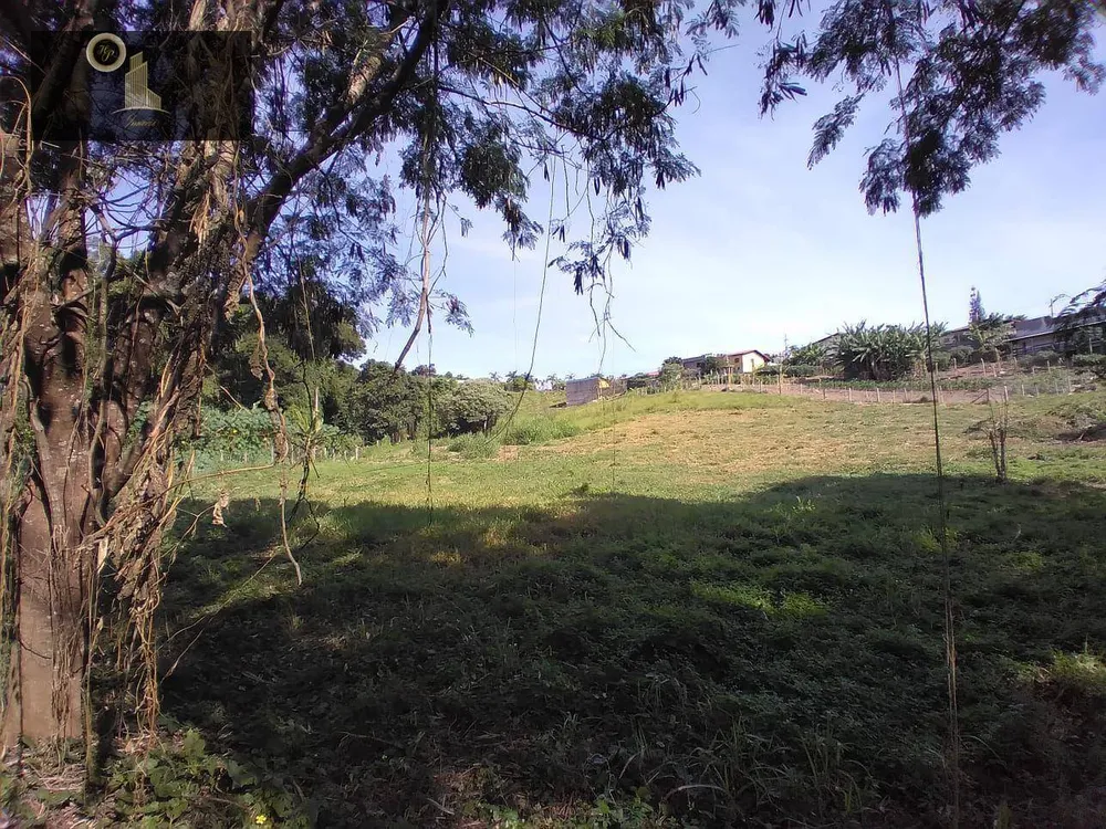 Terreno, 2 hectares - Foto 9