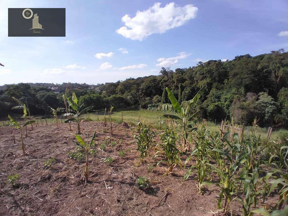 Terreno, 2 hectares - Foto 10