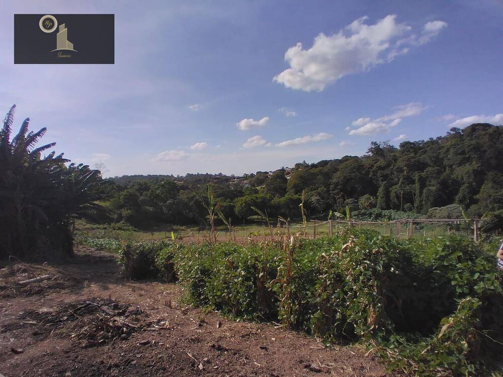 Terreno, 2 hectares - Foto 6