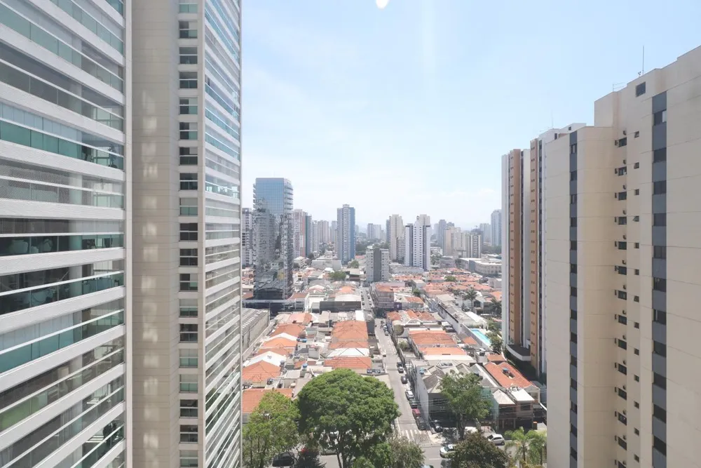 Apartamento, 3 quartos, 264 m² - Foto 12