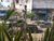 Terreno, 480 m² - Foto 4