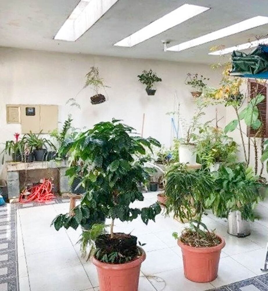 Casa, 4 quartos, 180 m² - Foto 3